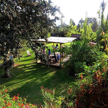 La Casa Del Tilo Bed & Breakfast Hacienda Santa Rosa Eksteriør bilde