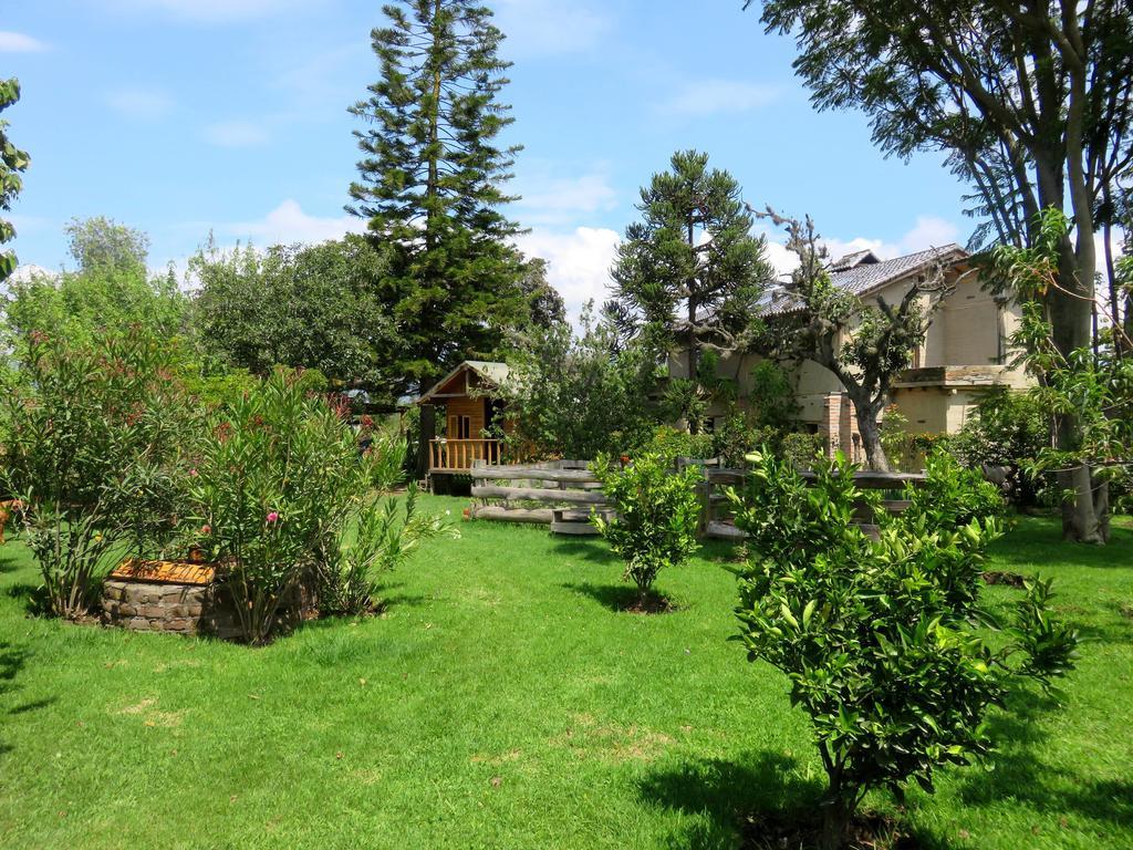 La Casa Del Tilo Bed & Breakfast Hacienda Santa Rosa Eksteriør bilde