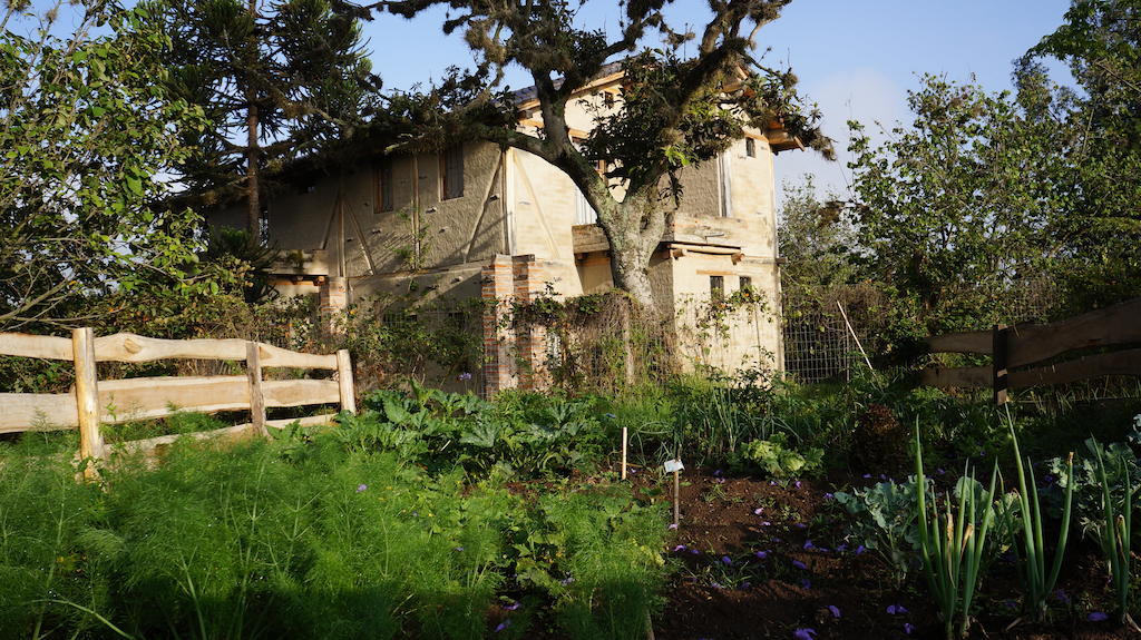 La Casa Del Tilo Bed & Breakfast Hacienda Santa Rosa Eksteriør bilde